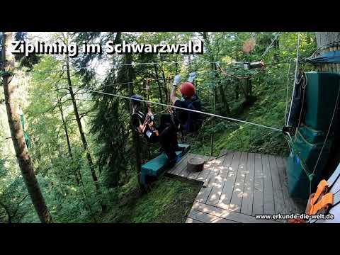 Fun in der Hirschgrund Zipline Area Schwarzwald