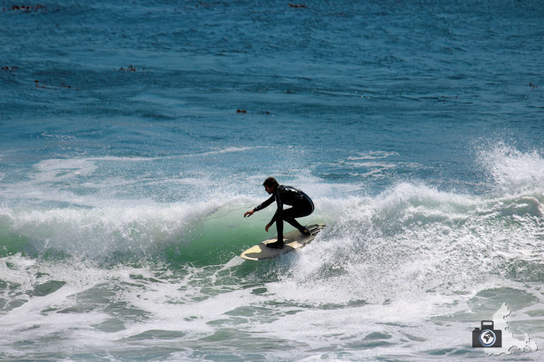 Santa Cruz, Surfer