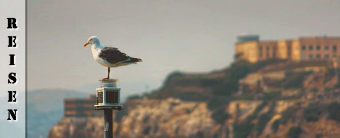 Reisebericht San Francisco - Alcatraz und andere Sehenswürdigkeiten