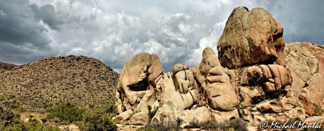 Joshua Tree