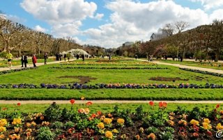 Jardin des Plantes