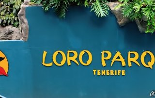 Loro Parque