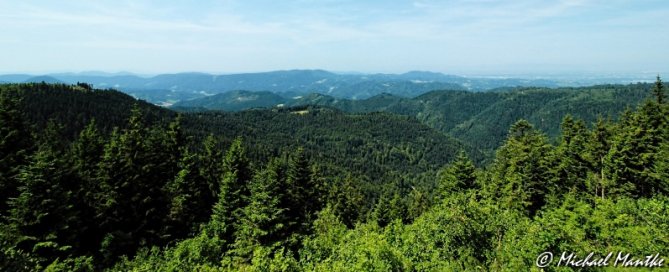 Nationalpark Schwarzwald