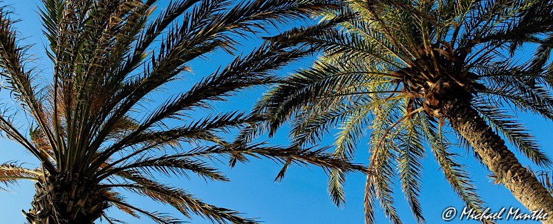 Ausflugsziele auf Teneriffa