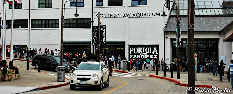 monterey bay aquarium