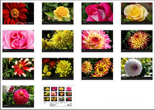 Blüten Kalender