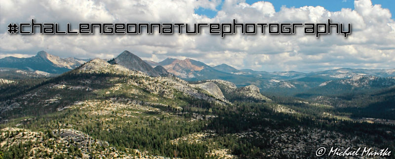 challengeonnaturephotography‬