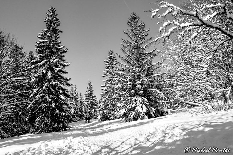 Feldberg im Winter