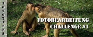 Fotobearbeitung Teil 1