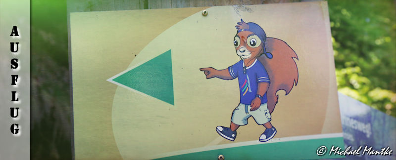 Baumkronenweg Waldkirch