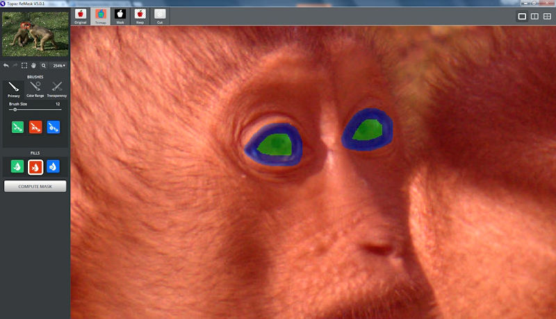 Fotobearbeitung Augen freistellen