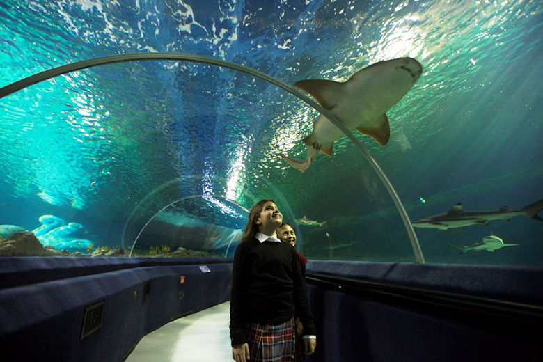 Istanbul Sea Life Aquarium