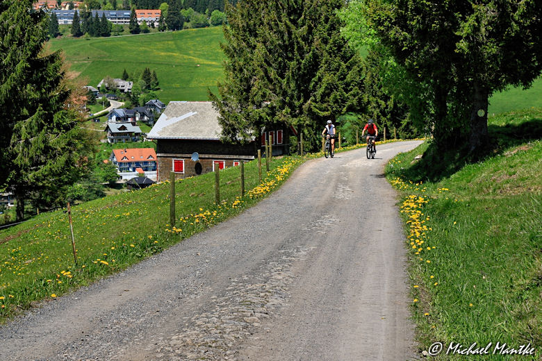 Martin Heidegger Rundwanderweg bei Todtnauberg - Radfahrer im Südschwarzwald