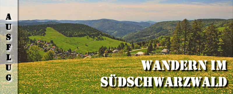 Martin Heidegger Rundwanderweg bei Todtnauberg