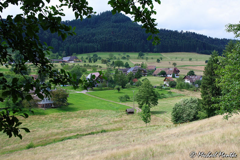 Schwarzwald Landschaft