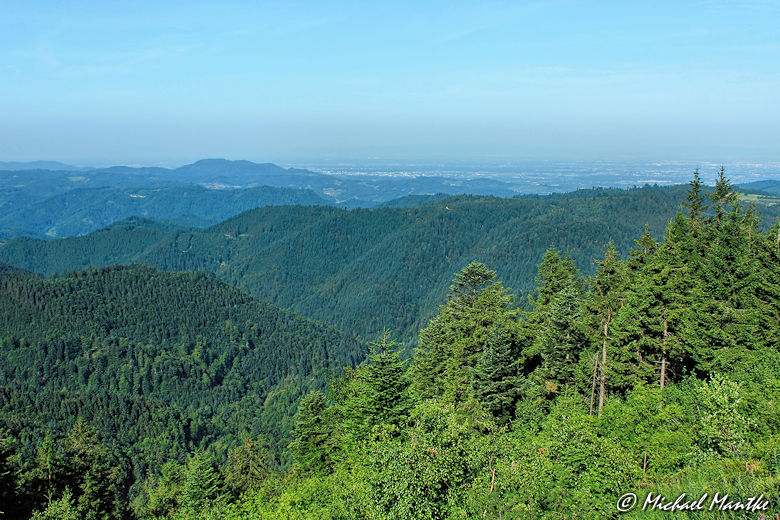 Sehenswürdigkeit Nationalpark Schwarzwald