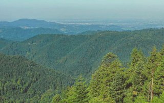 schwarzwald-sehenswürdigkeit-deutschland-F