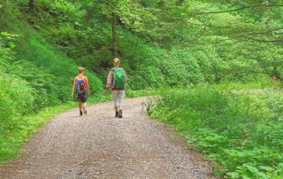 Vom Schauinsland nach Horben wandern