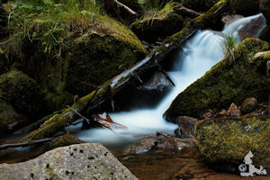 FotoJuwel - Elzwasserfälle