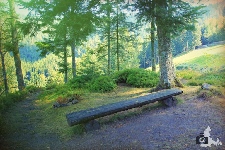 Rundwanderweg Burgbachwasserfall | Erkunde die Welt