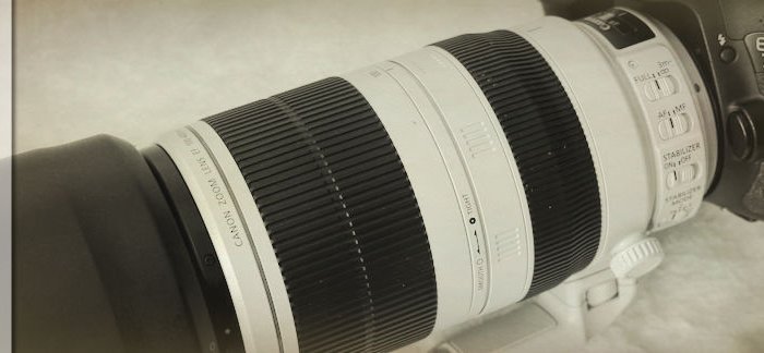 Canon EF 100-400 mm L IS II USM
