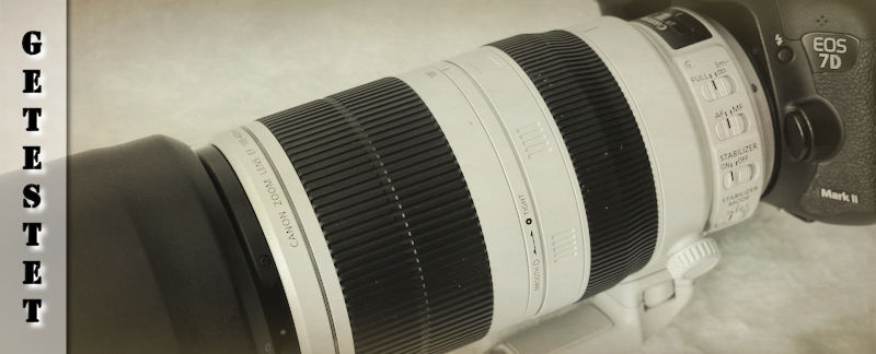 Canon EF 100-400 mm L IS II USM