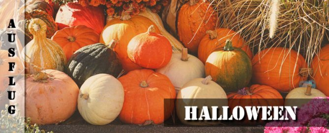 Ausflugsbericht zur Halloween Saison im Europa-Park