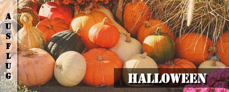 Ausflugsbericht zur Halloween Saison im Europa-Park