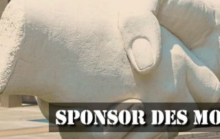 sponsor-des-monats-anzeige