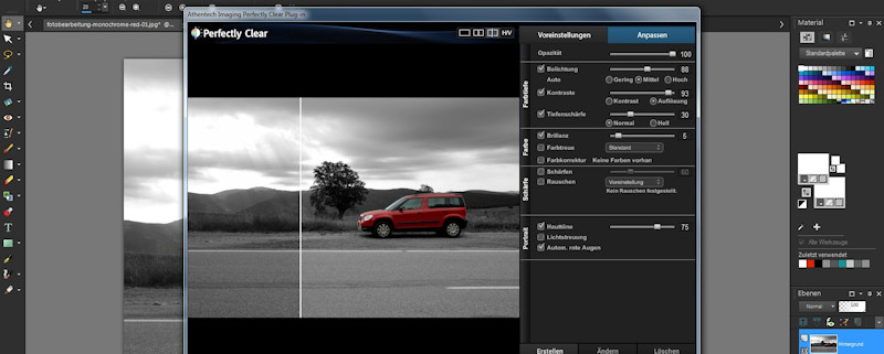 fotobearbeitung-monochrome-red-008