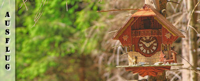 Schwarzwald Wanderung