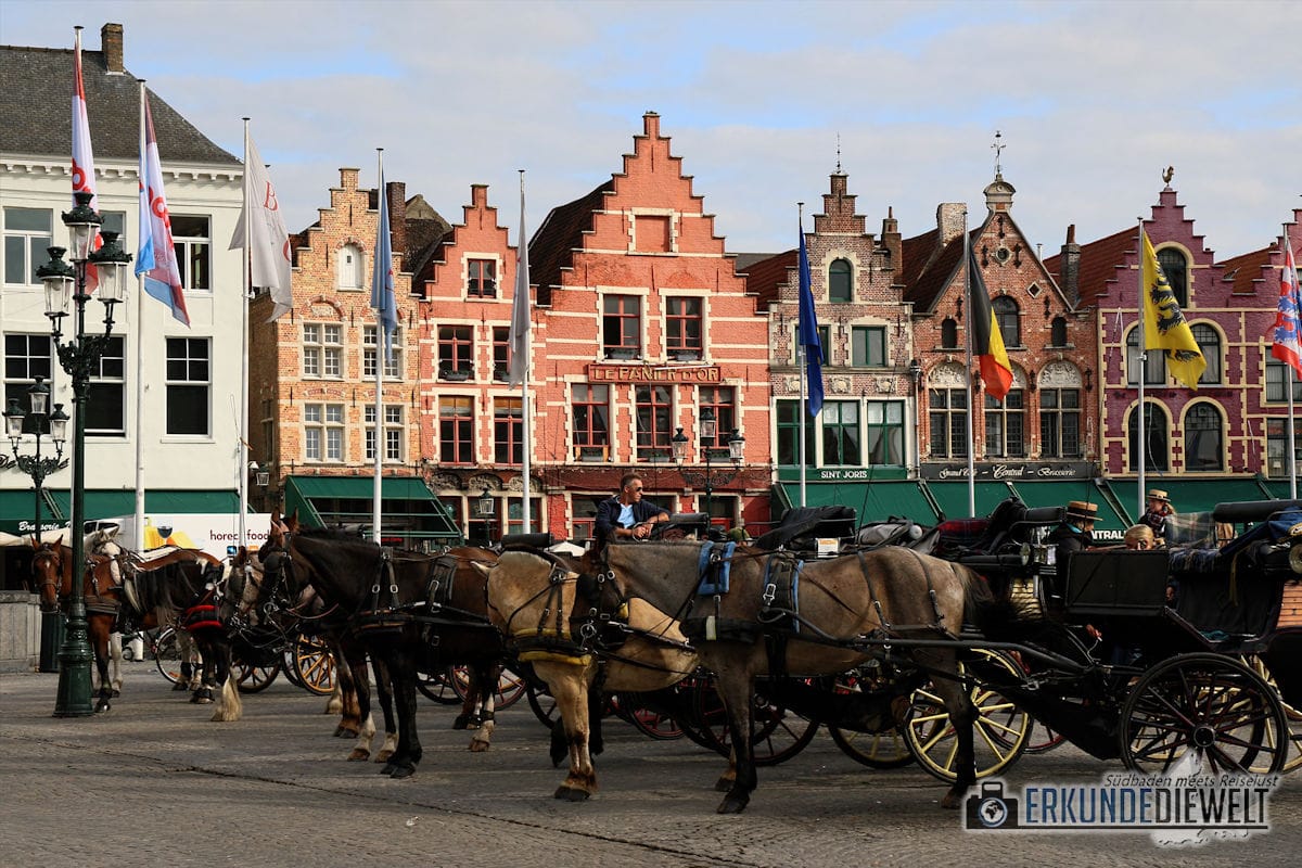 Pferdekutschen am Grote Markt, Brügge, Belgien
