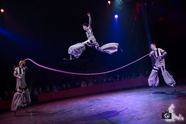 Fotografie-Tipps: Fotografieren im Zirkus - Jump'n'Roll