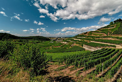 Kaiserstuhl, Südbaden