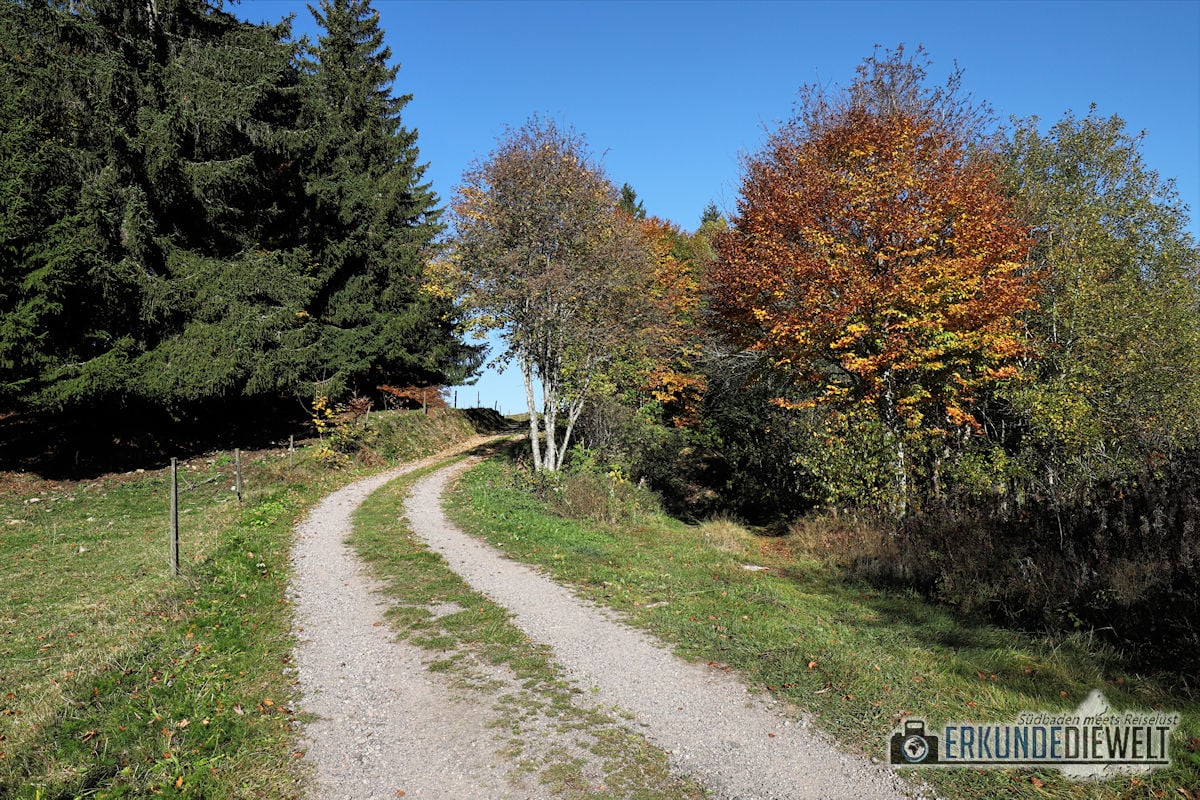 Ibacher Panoramaweg, Südschwarzwald, Deutschland