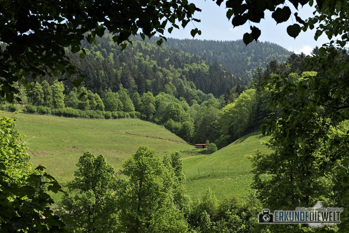 Sagenrundweg Allerheiligen, Schwarzwald, Deutschland