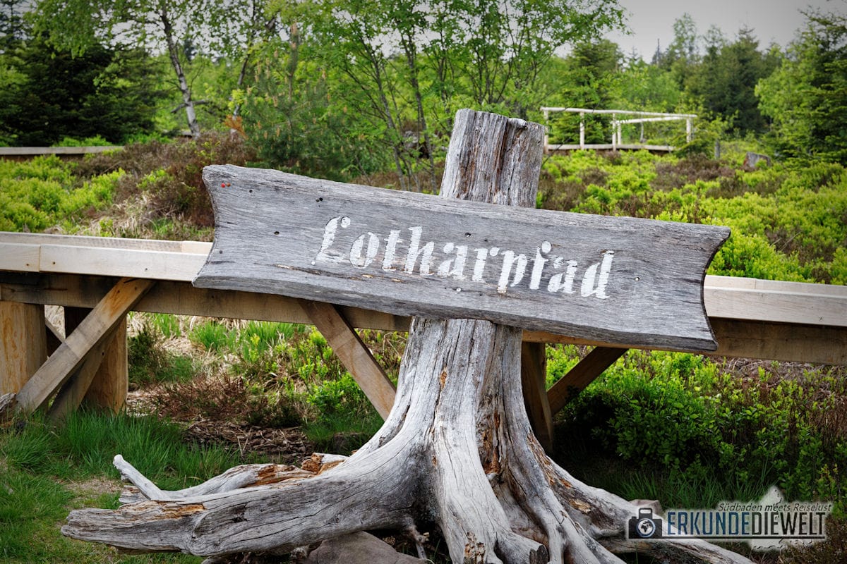 Lotharpfad, Schwarzwald, Deutschland