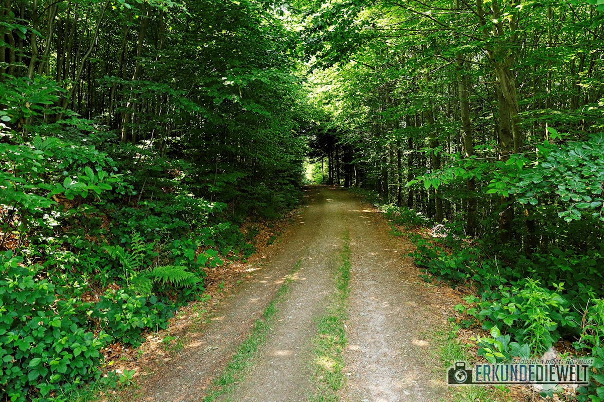 18deu0149-schwarzwald-alde-gott-panoramarunde-sasbachwalden-1200 Alde-Gott-Panoramarunde, Sasbachwalden, Schwarzwald