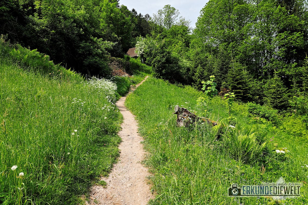 18deu0153-schwarzwald-alde-gott-panoramarunde-sasbachwalden-1200 Alde-Gott-Panoramarunde, Sasbachwalden, Schwarzwald
