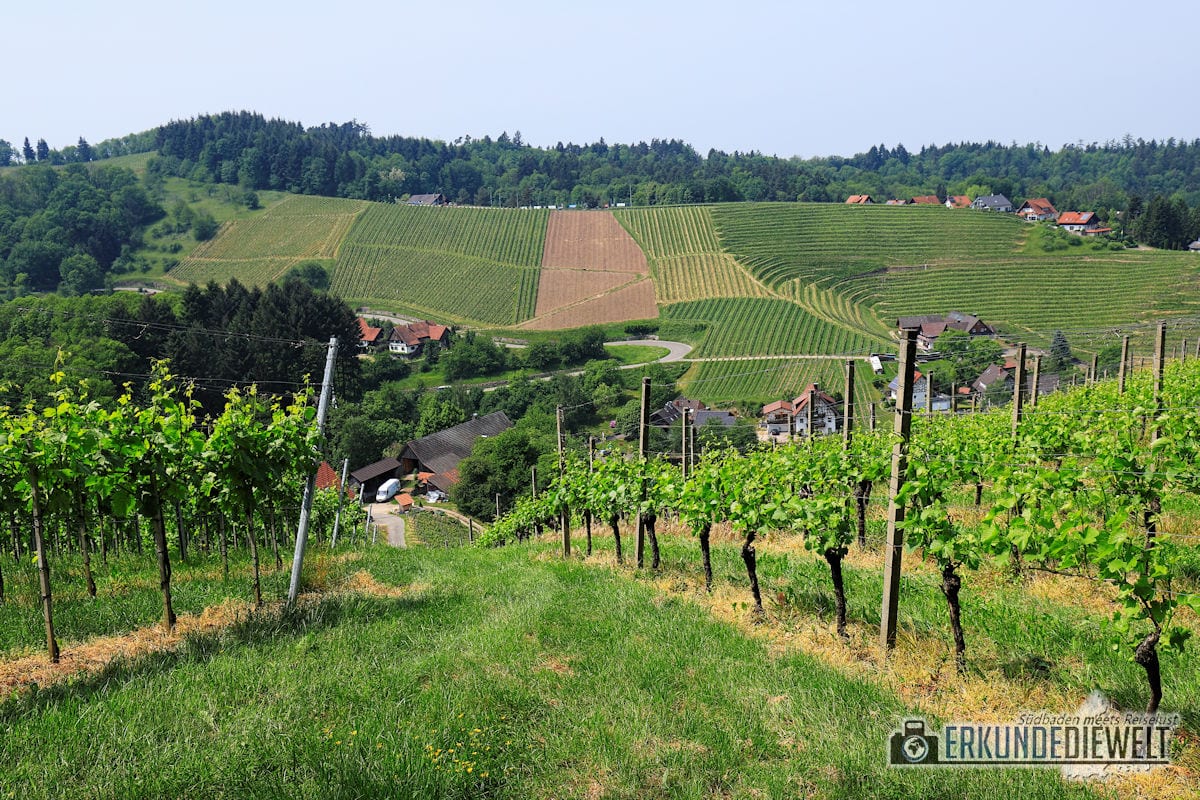 18deu0159-schwarzwald-alde-gott-panoramarunde-sasbachwalden-1200 Alde-Gott-Panoramarunde, Sasbachwalden, Schwarzwald