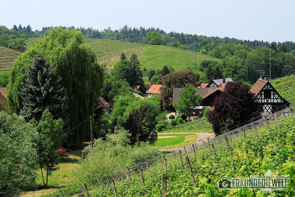 18deu0161-schwarzwald-alde-gott-panoramarunde-sasbachwalden-1200 Alde-Gott-Panoramarunde, Sasbachwalden, Schwarzwald