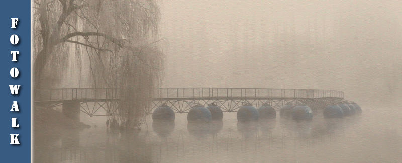 Fotowalk #1 - Winternebel im Seepark Freiburg
