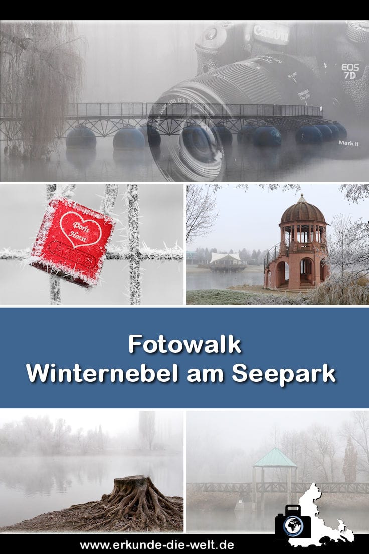 Fotowalk - Winternebel im Seepark Freiburg