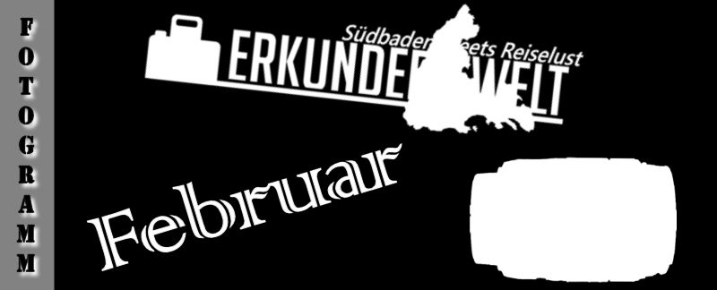 Fotogramm #2 Februar 2017