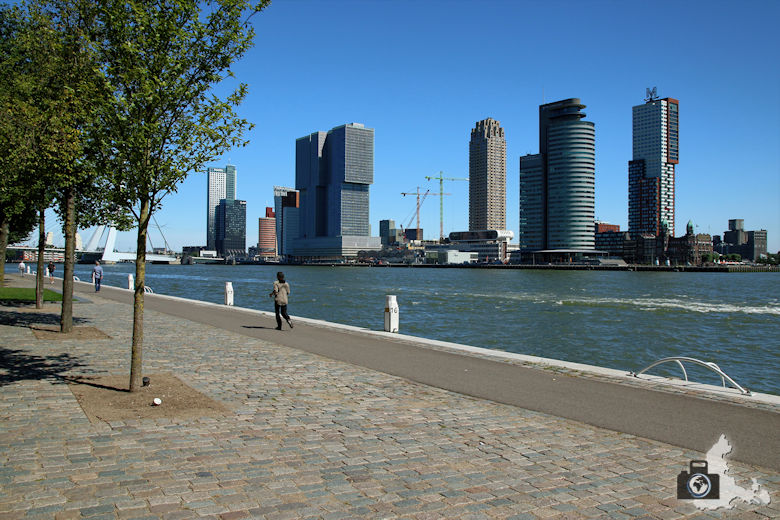 Rotterdam in den Niederlanden - spannende Architektur