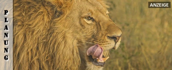 vorbereitung-suedafrika