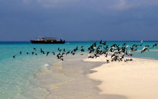 malediven-reisetipps-vorbereitung