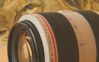 safari-fotoausruestung-telezoom