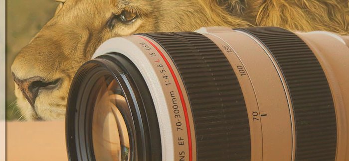 safari-fotoausruestung-telezoom