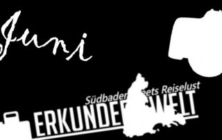 Fotogramm #6 Juni 2017